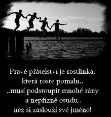 pravé priatelstvo je rostlinka....